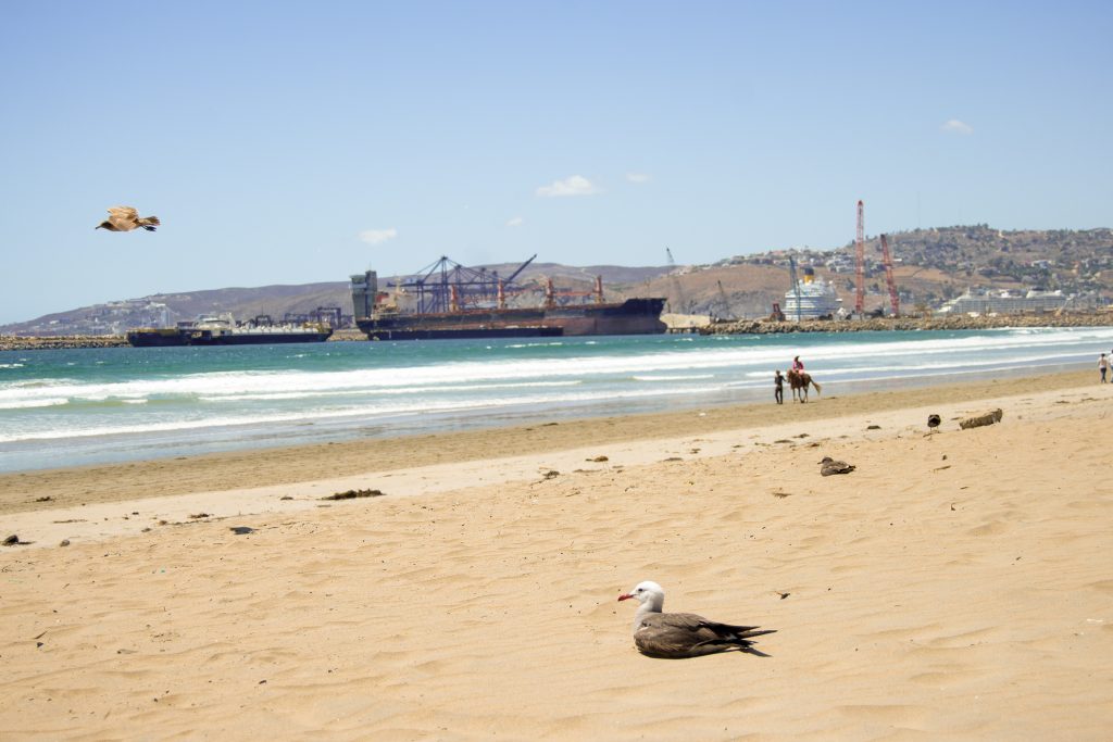 Playa de Ensenada
