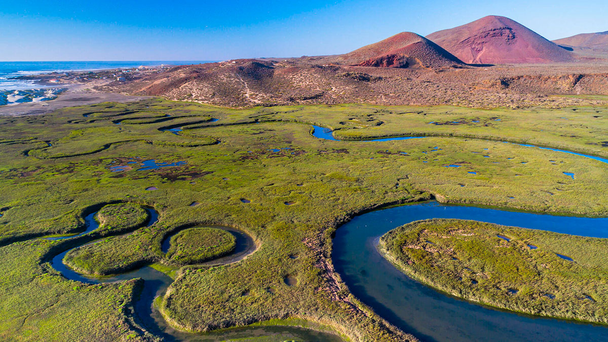 San Quintín en Crisis